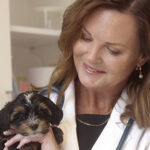 Dr. Lesley Steele